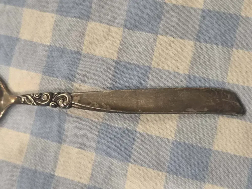 Vintage Silver Plated Spoon Oneida Community South Seas Pattern Souvenir